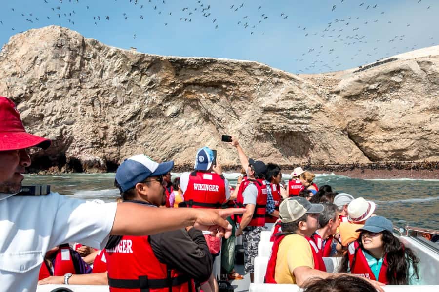 From San Martin Port: Ballestas Island & Paracas Reserve - Lagunillas fishing beach