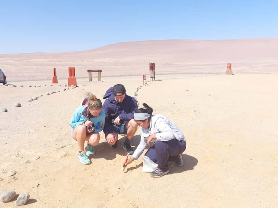 From San Martin Port: Ballestas Island & Paracas Reserve - Timing, comfort, and what to pack