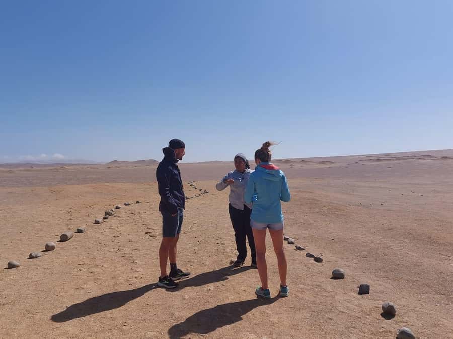 From San Martin Port: Ballestas Island & Paracas Reserve - Who should book this Paracas excursion?