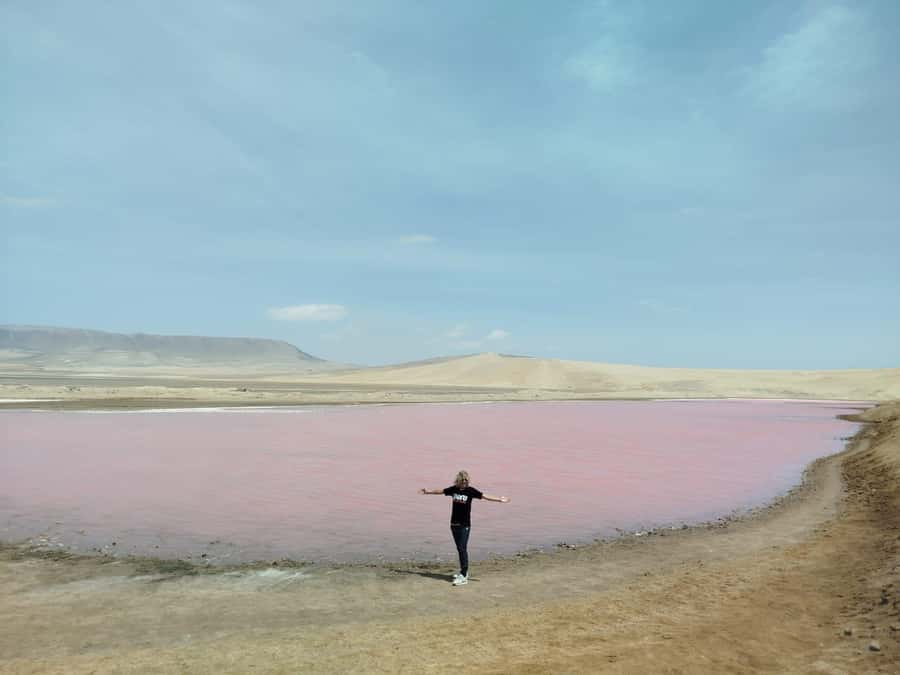 From San Martin Port: Ballestas Island & Paracas Reserve - Crossing the Paracas desert to the reserve