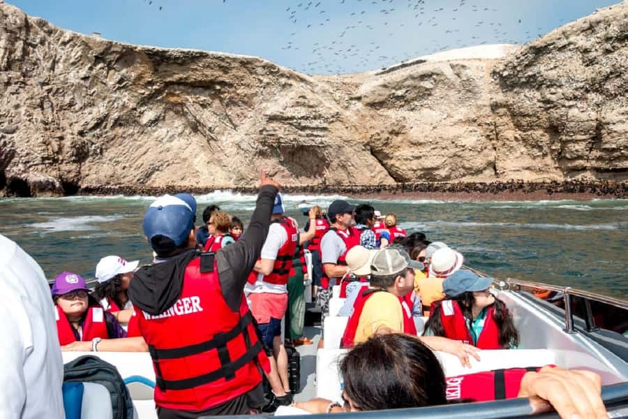 From San Martin Port: Ballestas Islands Tour in Paracas - Who should book this Ballestas excursion?