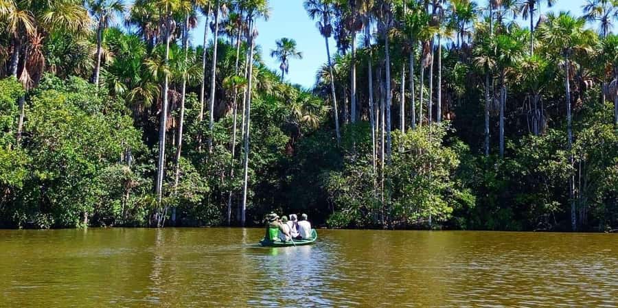 From Tambopata: Amazon Jungle Hike and Lake Sandoval 1-Day - Wildlife is the main reason to go