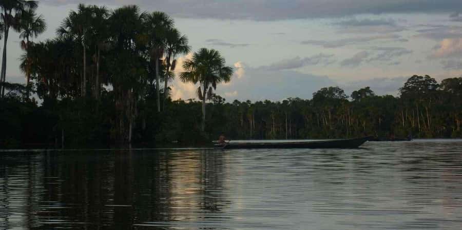 From Tambopata: Amazon Jungle Hike and Lake Sandoval 1-Day - Leaving at 9:00 am for Tambopata National Reserve