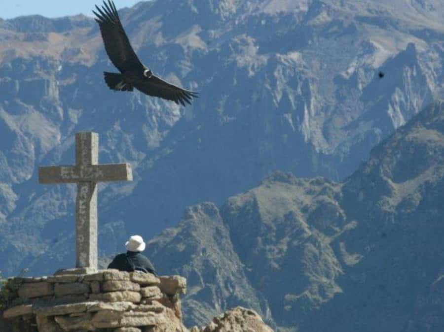 Full-Day Colca Canyon Tour from Arequipa - Why this Colca Canyon day trip works