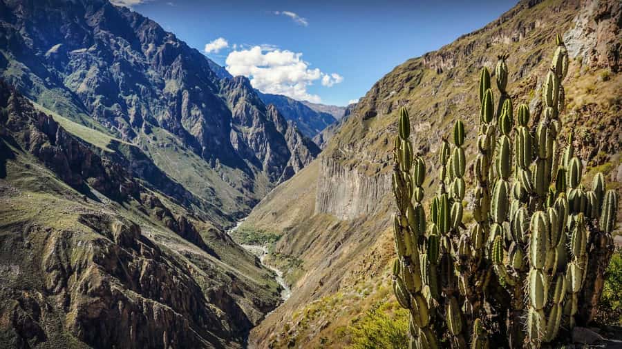 Full-Day Colca Canyon Tour from Arequipa - What the $39 price really covers