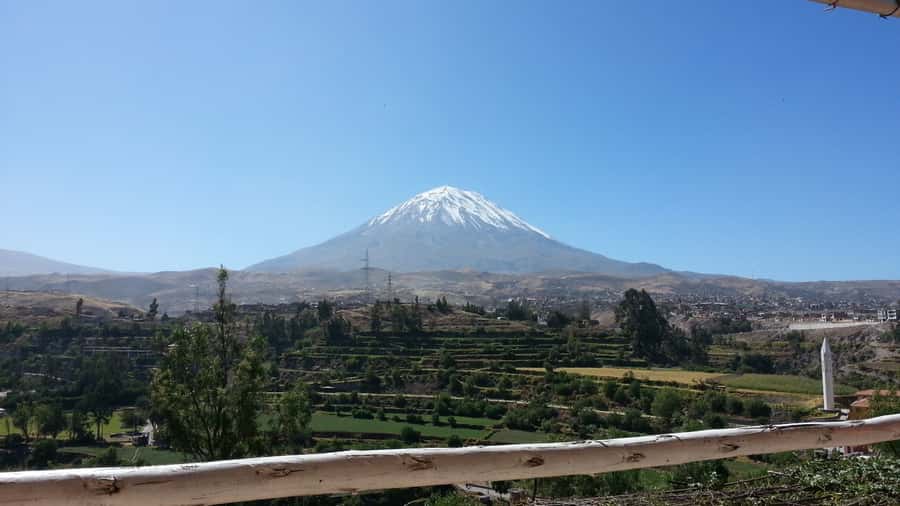 Full-Day Colca Canyon Tour from Arequipa - Vicuñas in Pampa Cañahuas