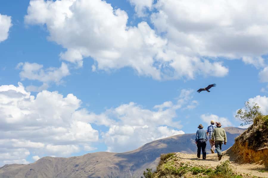 Full-Day Condor Viewpoint & Inca Sites Tour - Tarawasi, another ceremonial stop with a different setting