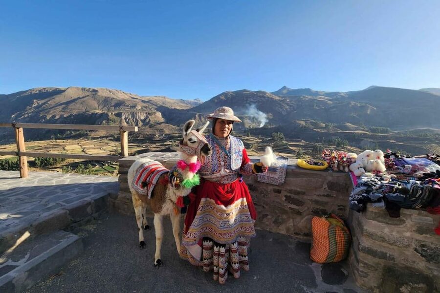 Full day excursion to Colca Canyon - Tocrapampa wetlands and camelid country