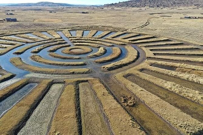 Full Day Guided Tour of the Aymara Route from Puno - Key points to know before you go