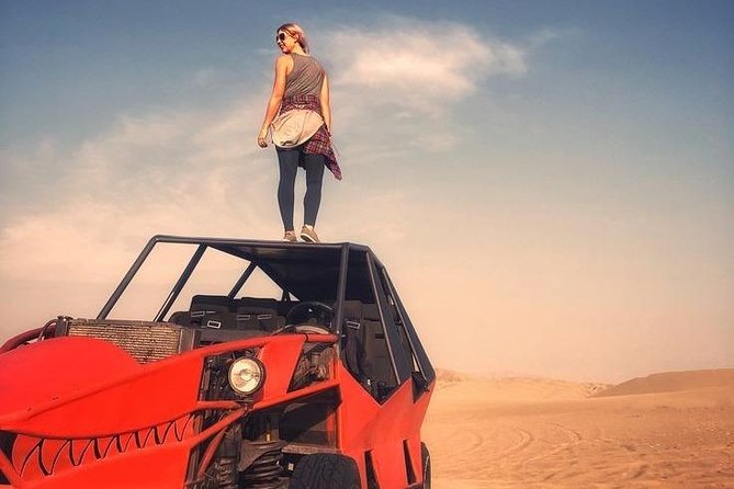 Full Day Paracas Ica and Huacachina from Lima All Included - The long road back to Lima
