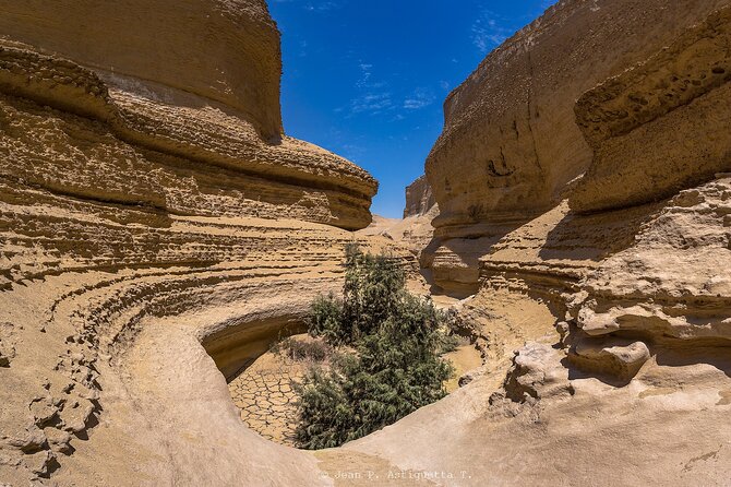 Full Day Tour Canyon of the Lost in Ica Desert - Who will enjoy this most