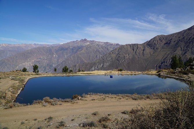 Full Day Tour / Colca Canyon - Lunch in Chivay and the long ride home