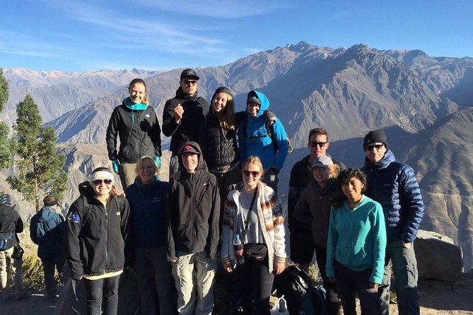Full Day Tour / Colca Canyon - Pampa Cañahuas and the camelids