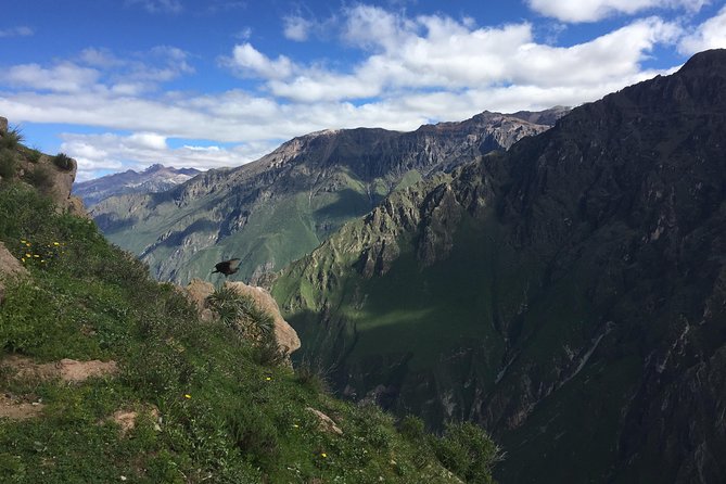 Full Day Tour / Colca Canyon - Breakfast in Chivay, with a realistic appetite