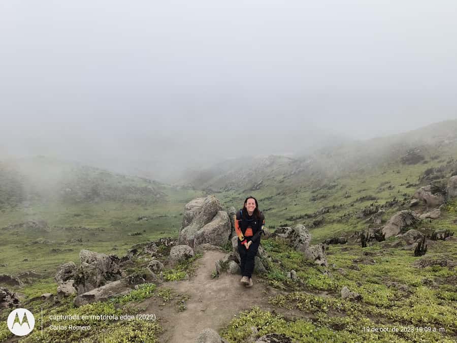 Hiking Lomas de Lachay in Lima - Key points to know before you go