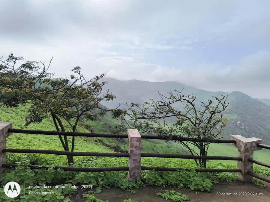 Hiking Lomas de Lachay in Lima - My take on the guides and service
