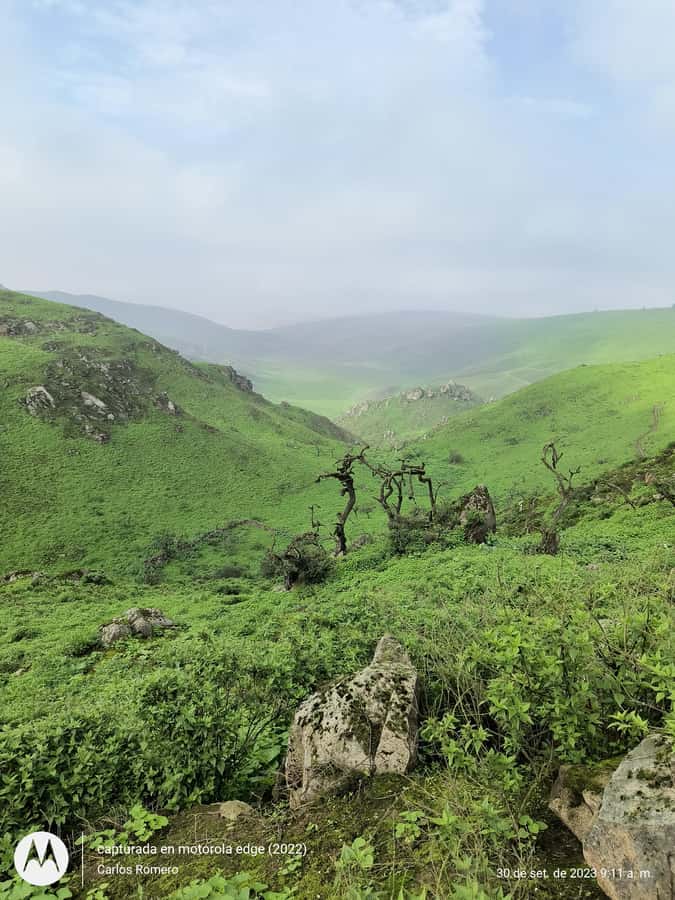 Hiking Lomas de Lachay in Lima - Why Lomas de Lachay feels so different from Lima
