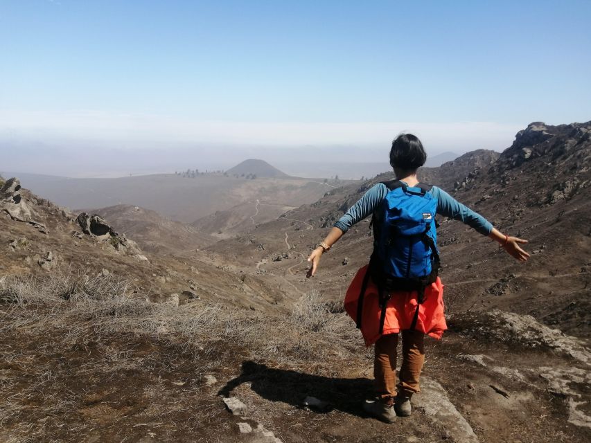 Hiking Lomas de Lachay in Lima - Two hours among dunes, hills, and green slopes