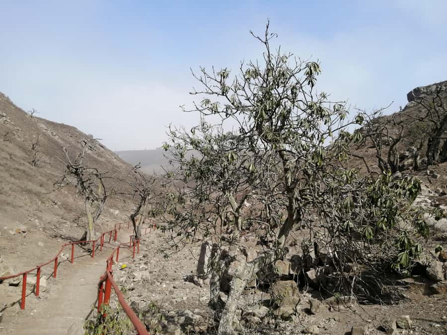 Hiking Lomas de Lachay in Lima - What the $165 price really covers