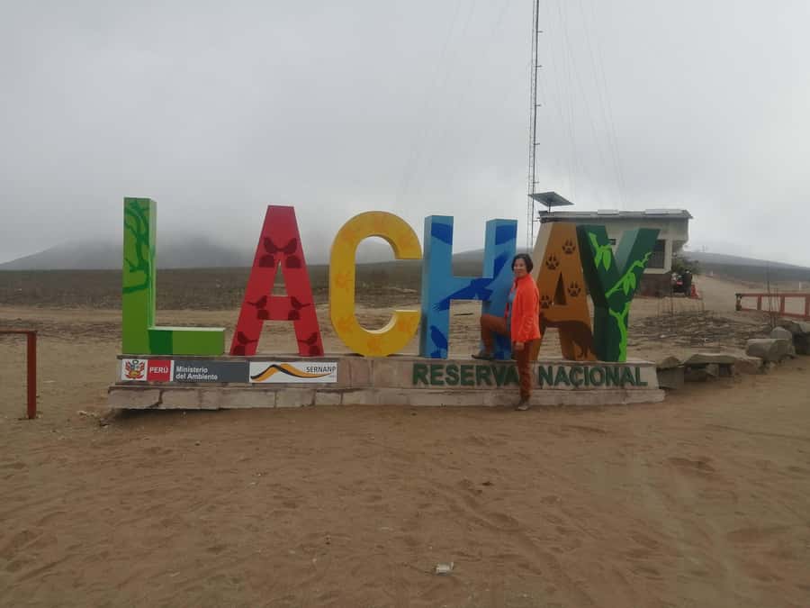 Hiking Lomas de Lachay in Lima - The 5 am departure and long ride from Lima