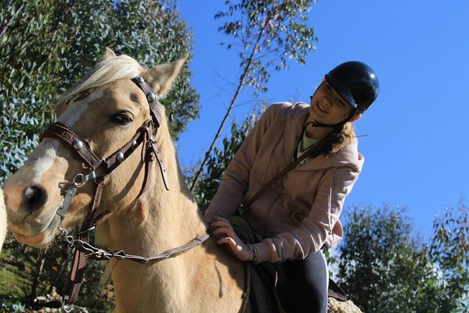 Horse Riding Chacan Mountain And Temple Of The Moon - The horse-care question