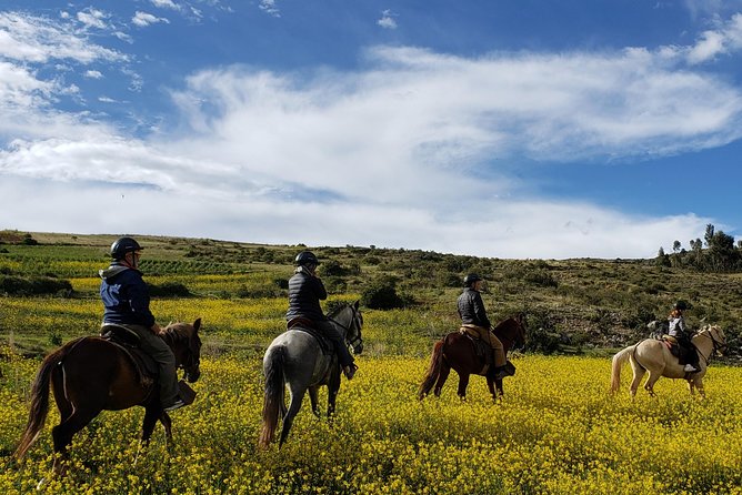Horseback Tour in cusco to Temple of the Moon & Hidden temples - Is the $65 price good value?