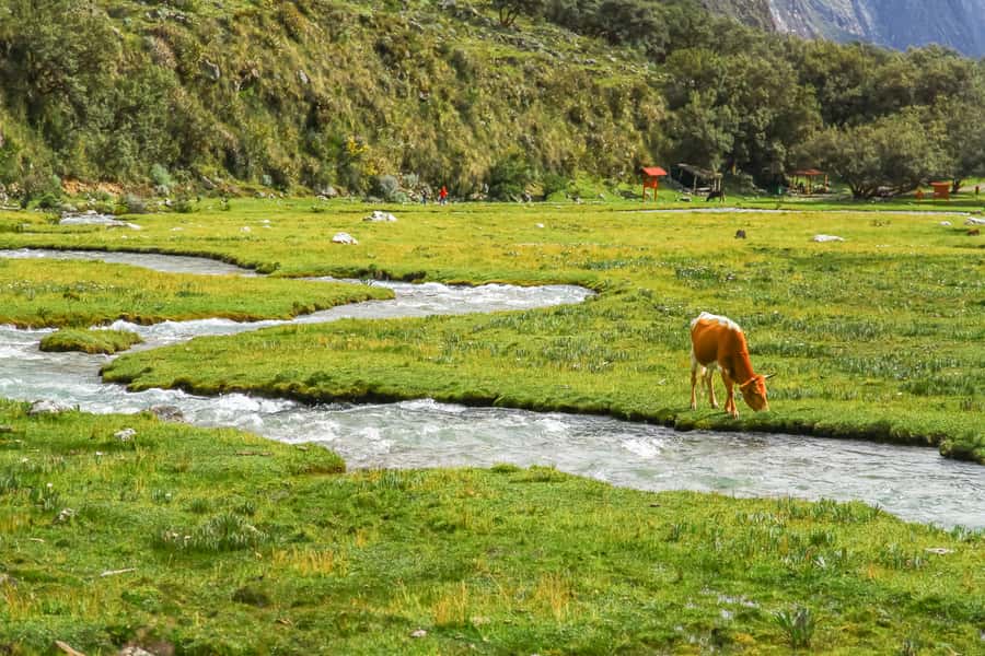 Huaraz: 3-hour Trek to Laguna 69 with Optional Lunch - Who should book this hike