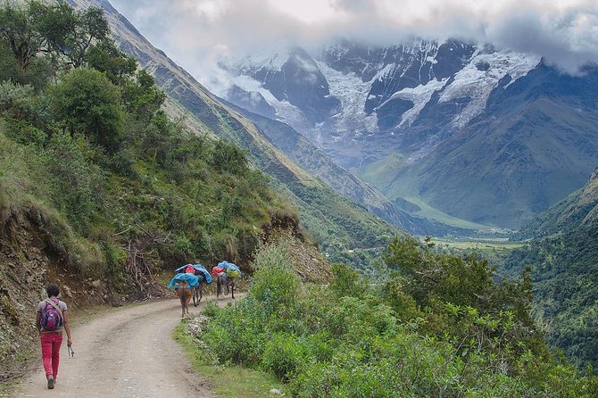Humantay Lake Day Hike (Small Group or Private) - Lunch, snacks, and the return to Cusco