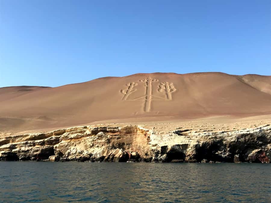 Ica: Ballestas Island & Paracas Reserve Private Tour - From Ica to the Pacific coast