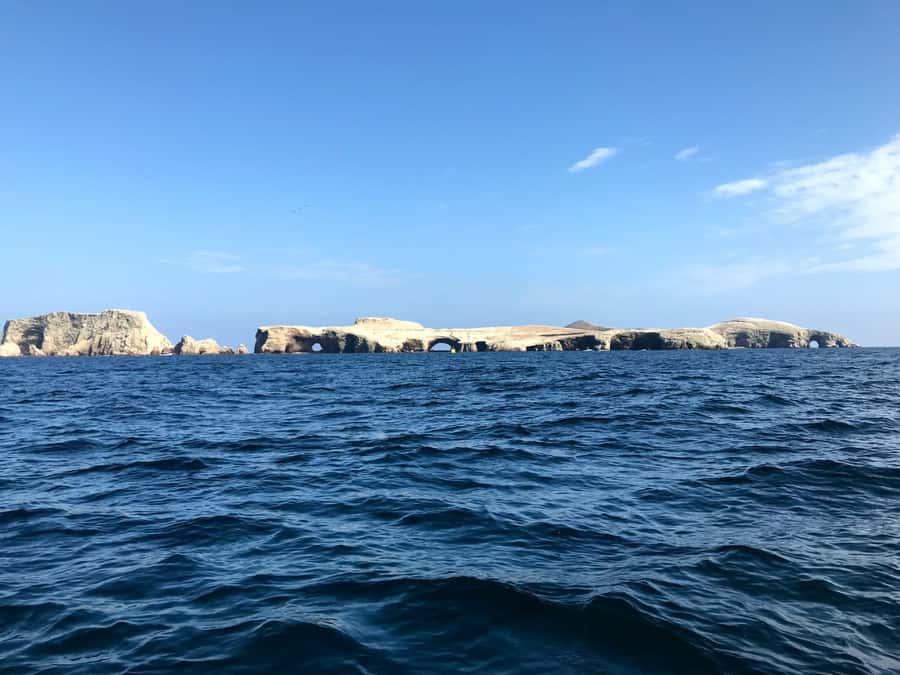Ica: Ballestas Island & Paracas Reserve Private Tour - The speedboat ride to Ballestas Islands