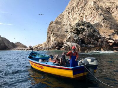 Ballestas Island & Paracas Reserve Private Tour