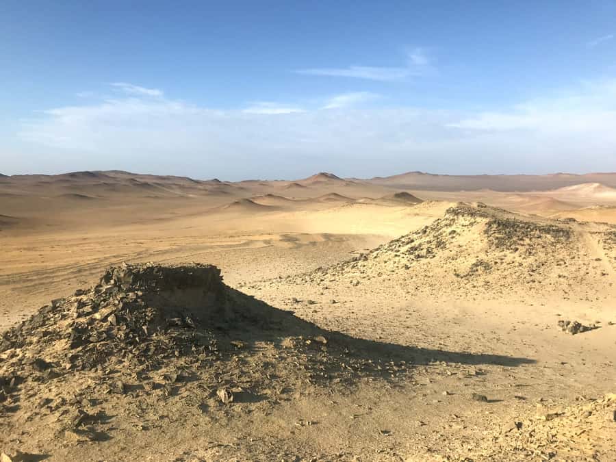 Ica: Ballestas Island & Paracas Reserve Private Tour - Practical details for a smoother day