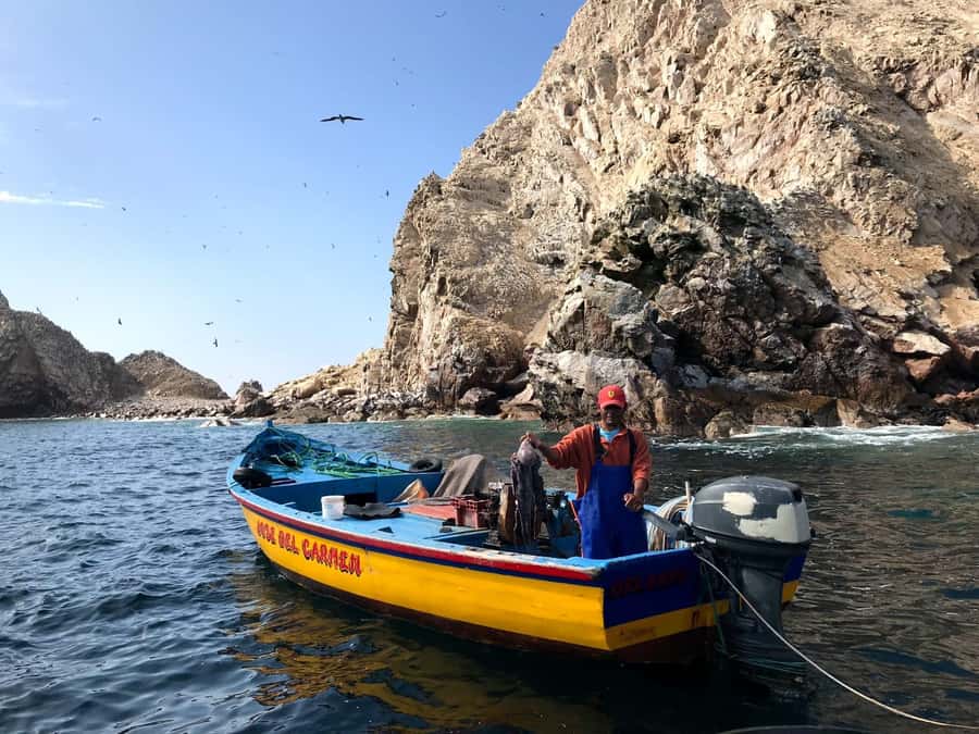 Ica: Ballestas Island & Paracas Reserve Private Tour - Sea lions, penguins, and seabirds