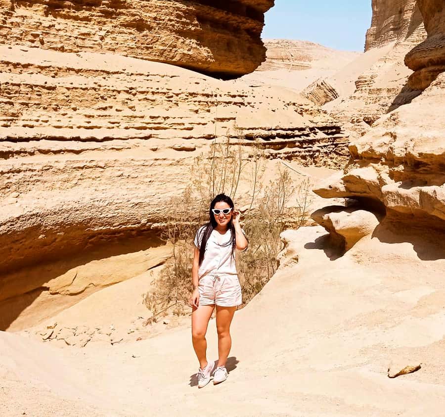 Ica: Canyon of the Lost Tour in Ocucaje Desert - Walking Among Fossil Remains