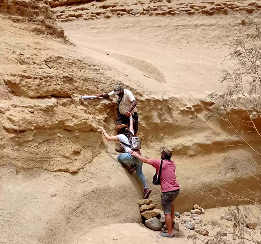Ica: Canyon of the Lost Tour in Ocucaje Desert - Who Will Enjoy This Day Most