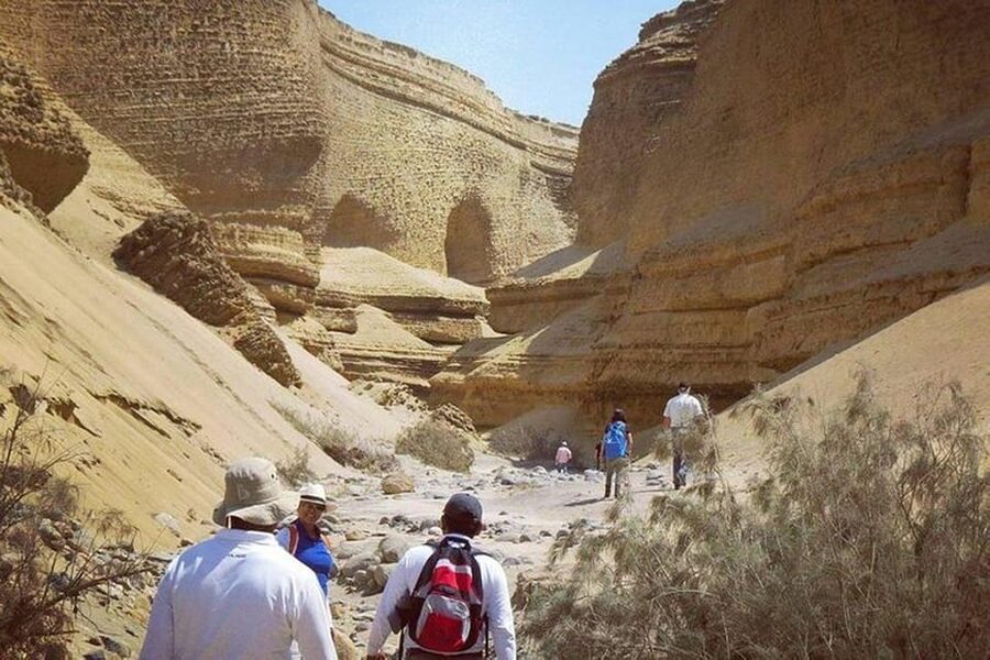 Ica / Huacachina : Canon de los Perdidos - Ica's Hidden Gem - My verdict on the Canyon of the Lost