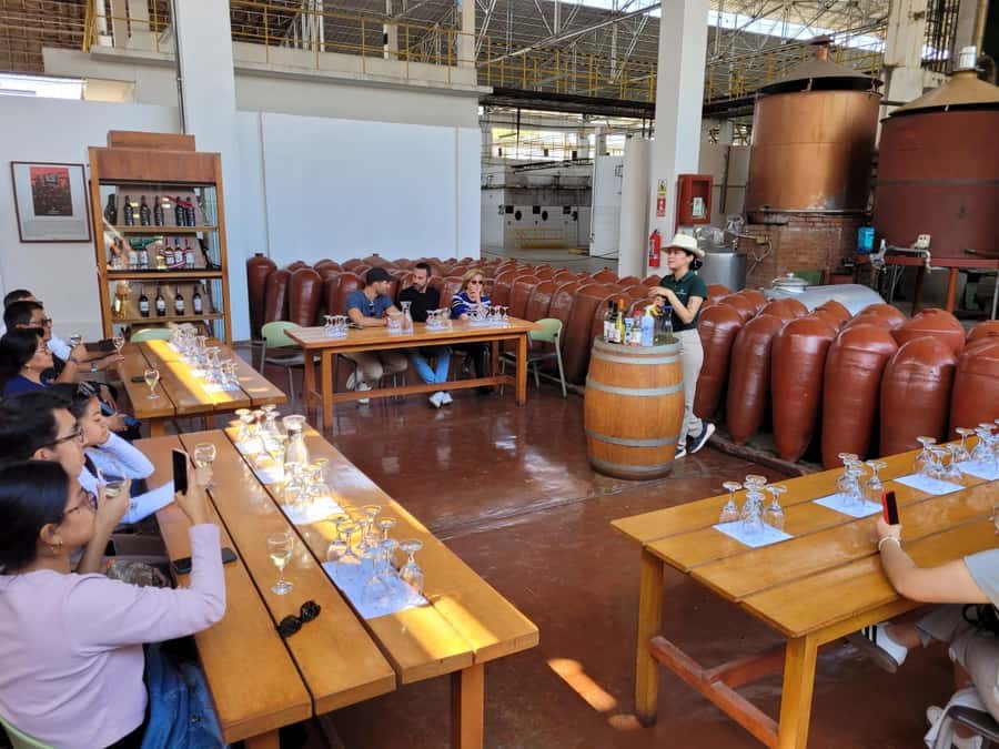 ICA: Pisco and Wine Route with tasting in 03 Wineries - Why a pisco route makes sense in Ica