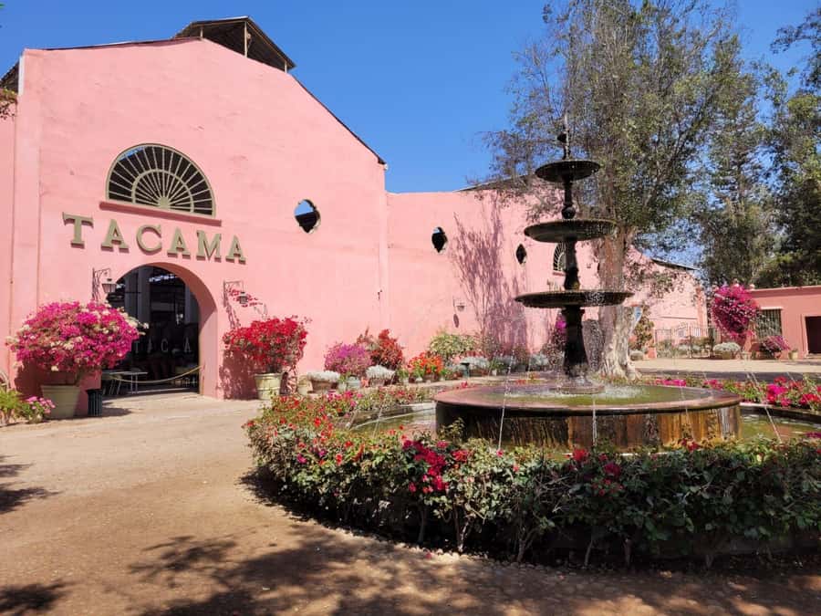 ICA: Pisco and Wine Route with tasting in 03 Wineries - Seeing how grapes become pisco