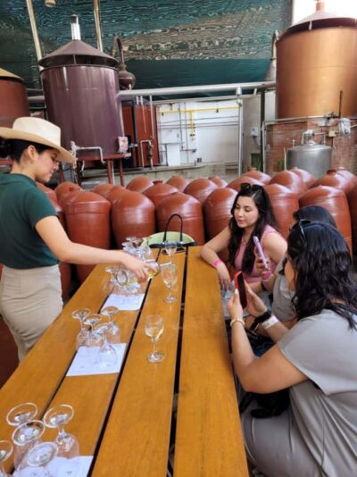 Pisco and Wine Route with tasting in 03 Wineries