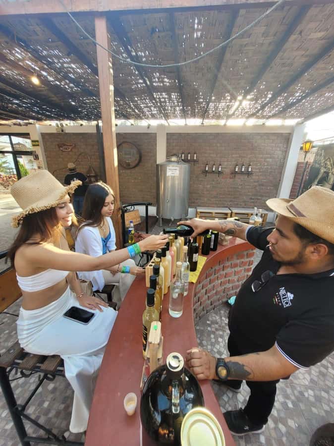 ICA: Pisco and Wine Route with tasting in 03 Wineries - Walking the vineyards around Ica