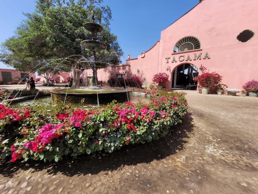 ICA: Pisco and Wine Route with tasting in 03 Wineries - Regional food and the extra lunch cost