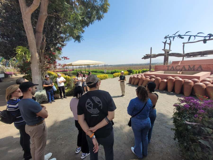 ICA: Pisco and Wine Route with tasting in 03 Wineries - Is $29 good value?
