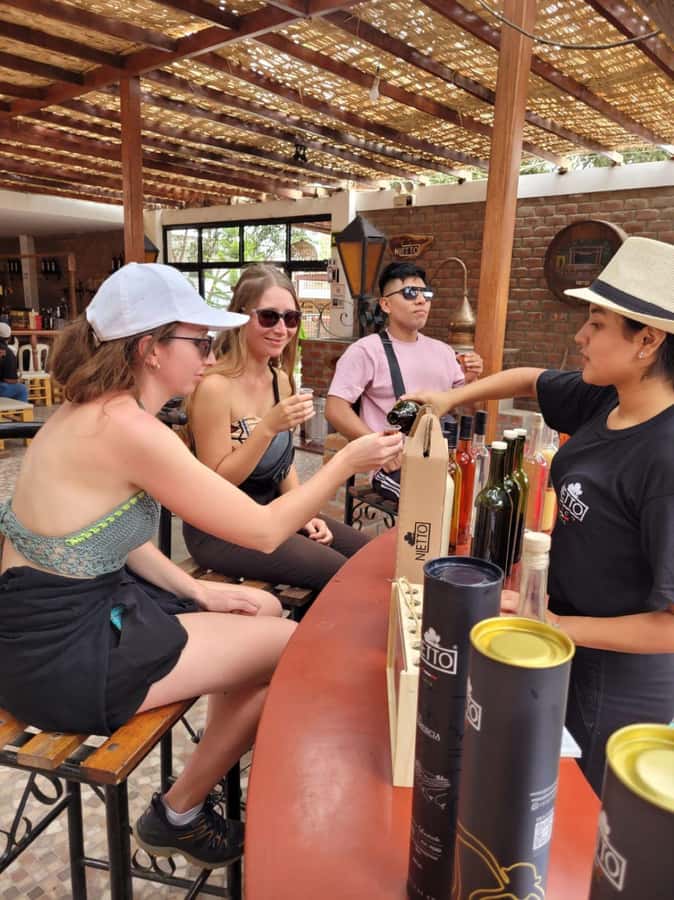 ICA: Pisco and Wine Route with tasting in 03 Wineries - Who should book this Ica experience?