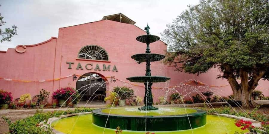 Ica: Tacama Winery and Pisco Tasting Tour with Hotel Pickup - Key points to know before booking
