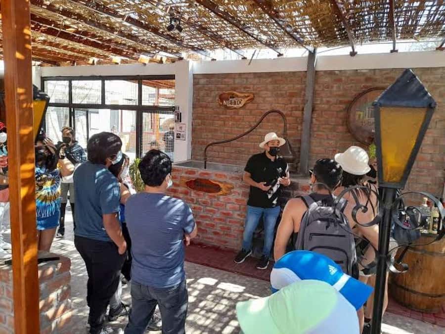 Ica: Tacama Winery and Pisco Tasting Tour with Hotel Pickup - Lazo Winery’s old cava and unusual museum