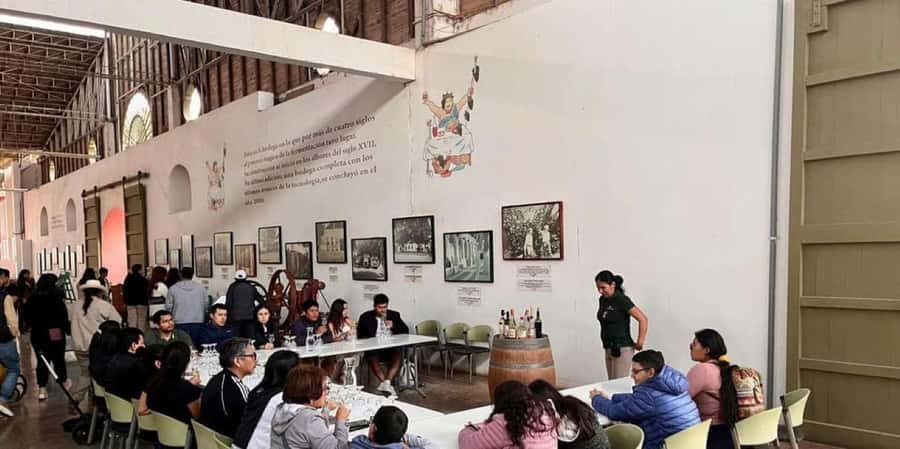 Ica: Tacama Winery and Pisco Tasting Tour with Hotel Pickup - Starting at Bodega El Catador