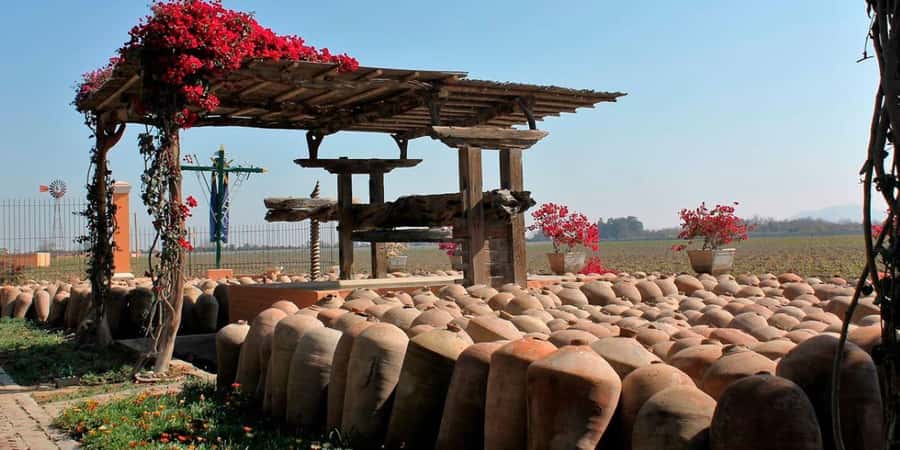 Ica: Winery Tour with Pisco and Wine Tasting - Lazo Winery Museum and its unexpected collection