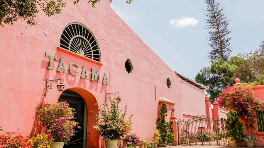 Ica: Winery Tour with Pisco and Wine Tasting - The 150-minute schedule and what it means