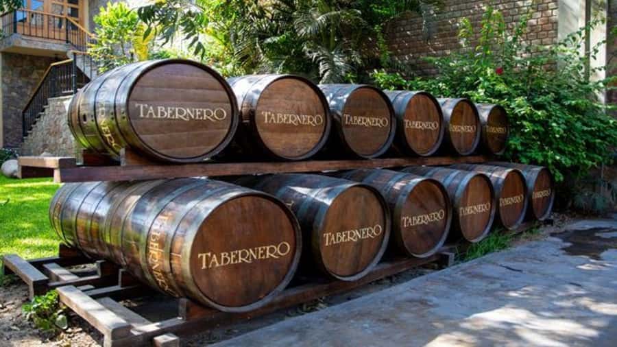 Ica: Winery Tour with Pisco and Wine Tasting - Starting at El Catador in Ica