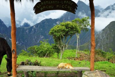 Inca Jungle Premium to Machu Picchu 4-Day and 3-Nights